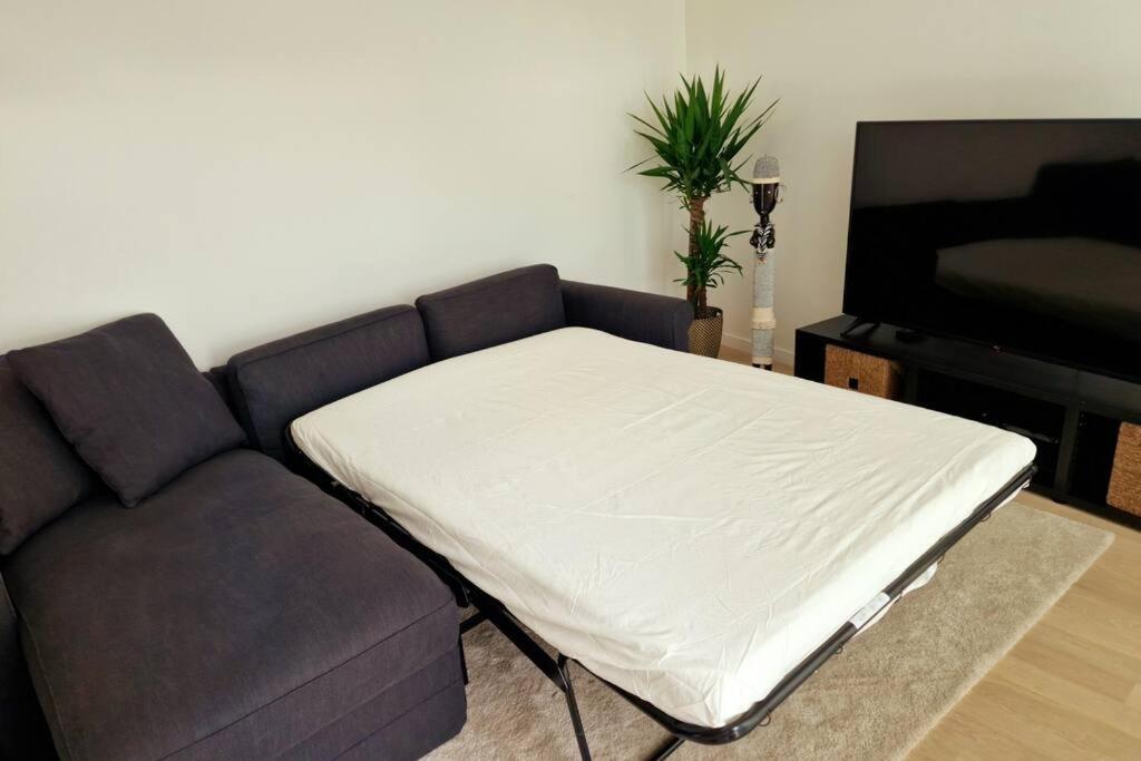 Magnifique Appartement Sur La Seine Alfortville Eksteriør billede