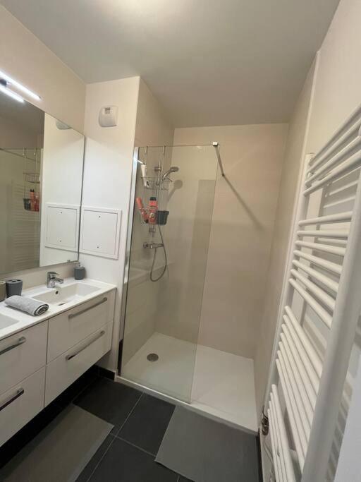 Magnifique Appartement Sur La Seine Alfortville Eksteriør billede